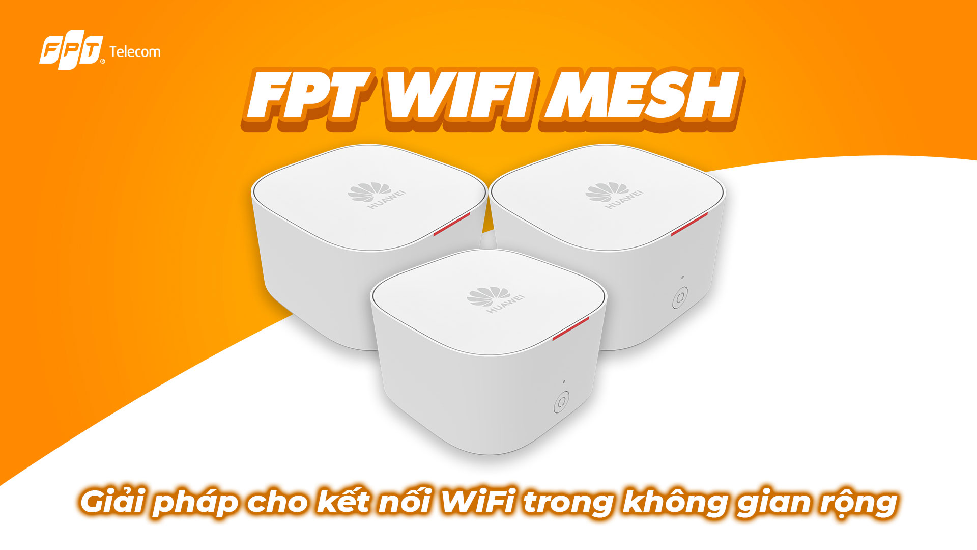 wifi mesh fpt